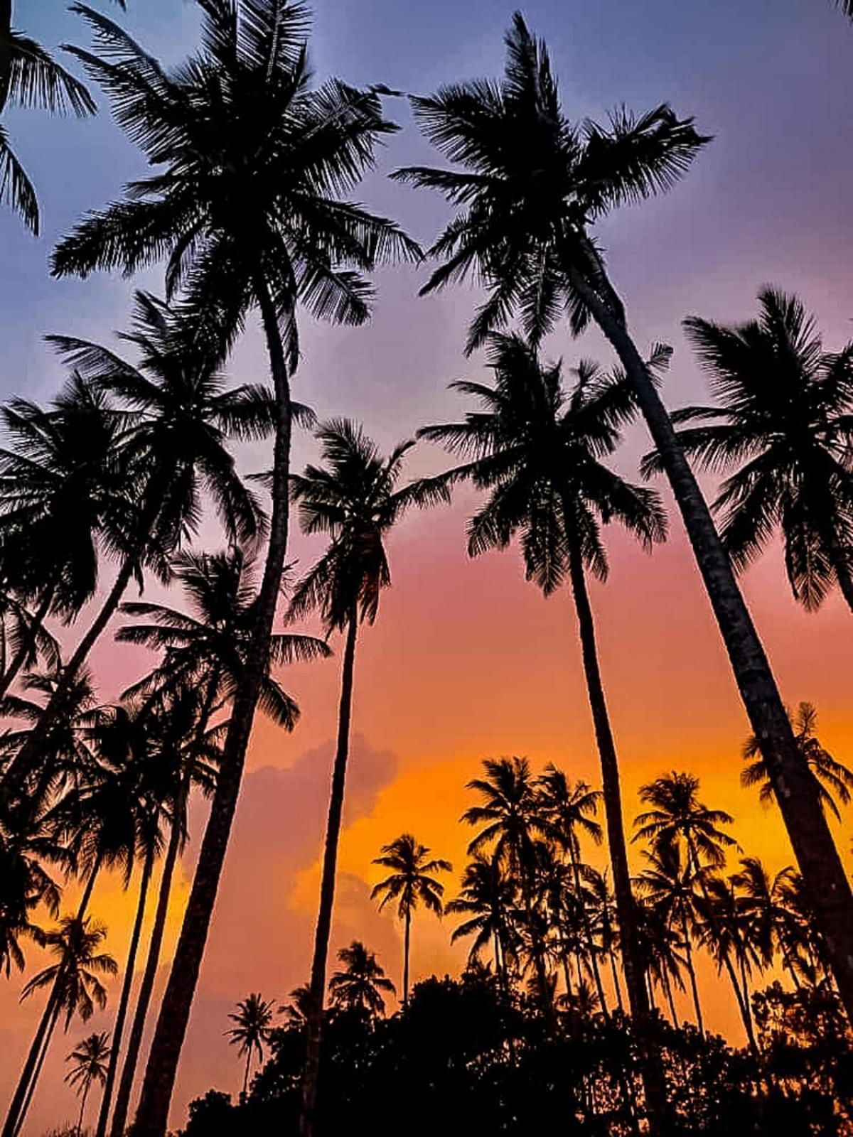 Turtle Island Cabana Tangalle Zewnętrze zdjęcie