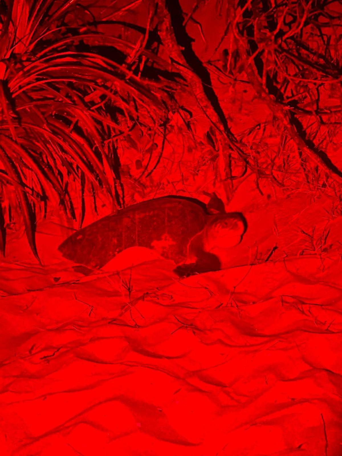Turtle Island Cabana Tangalle Zewnętrze zdjęcie